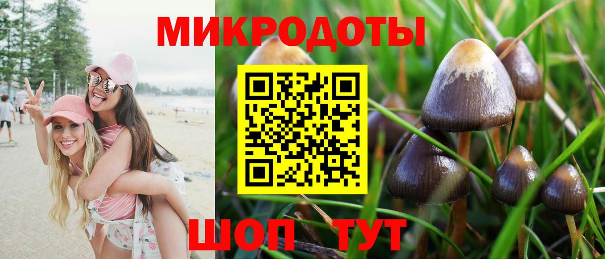 Псилоцибиновые грибы мицелий Тула